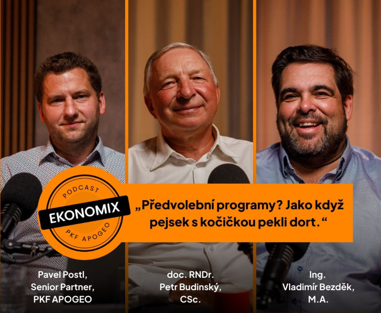 Předvolební programy? Jako když pejsek s kočičkou pekli dort | EKONOMIX PKF APOGEO